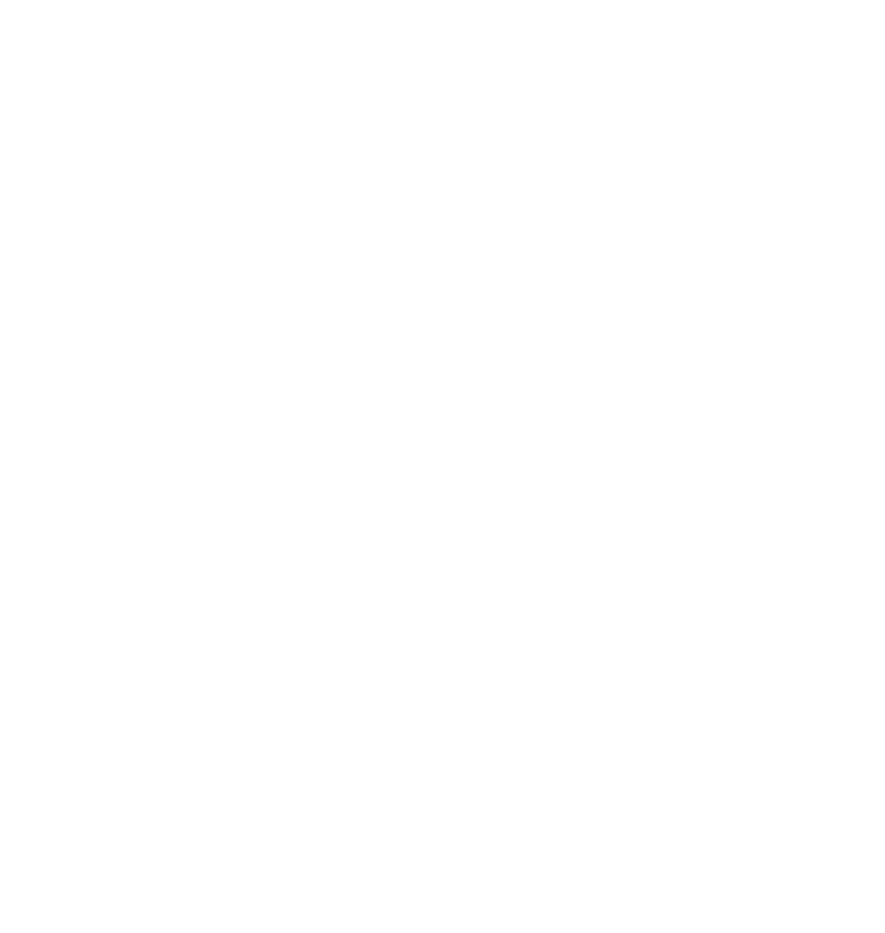 FIS Branding Guidelines